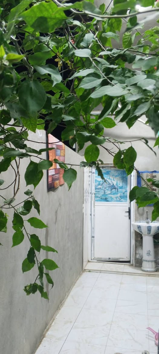 دار للبيع المساحة 180متر غرفتين وصاله واستقبال مطبخ حار وبارد صحيات داخليه وخارجيه العنوان اطويريج الحولي خلف حلويات ابو سلام زراعي سند 25 بستان اقلوم السعر95 للاستفسار اتصل ***********
