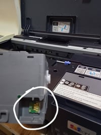 صندوق صيانة • ابسون L8050 • اسفنجات