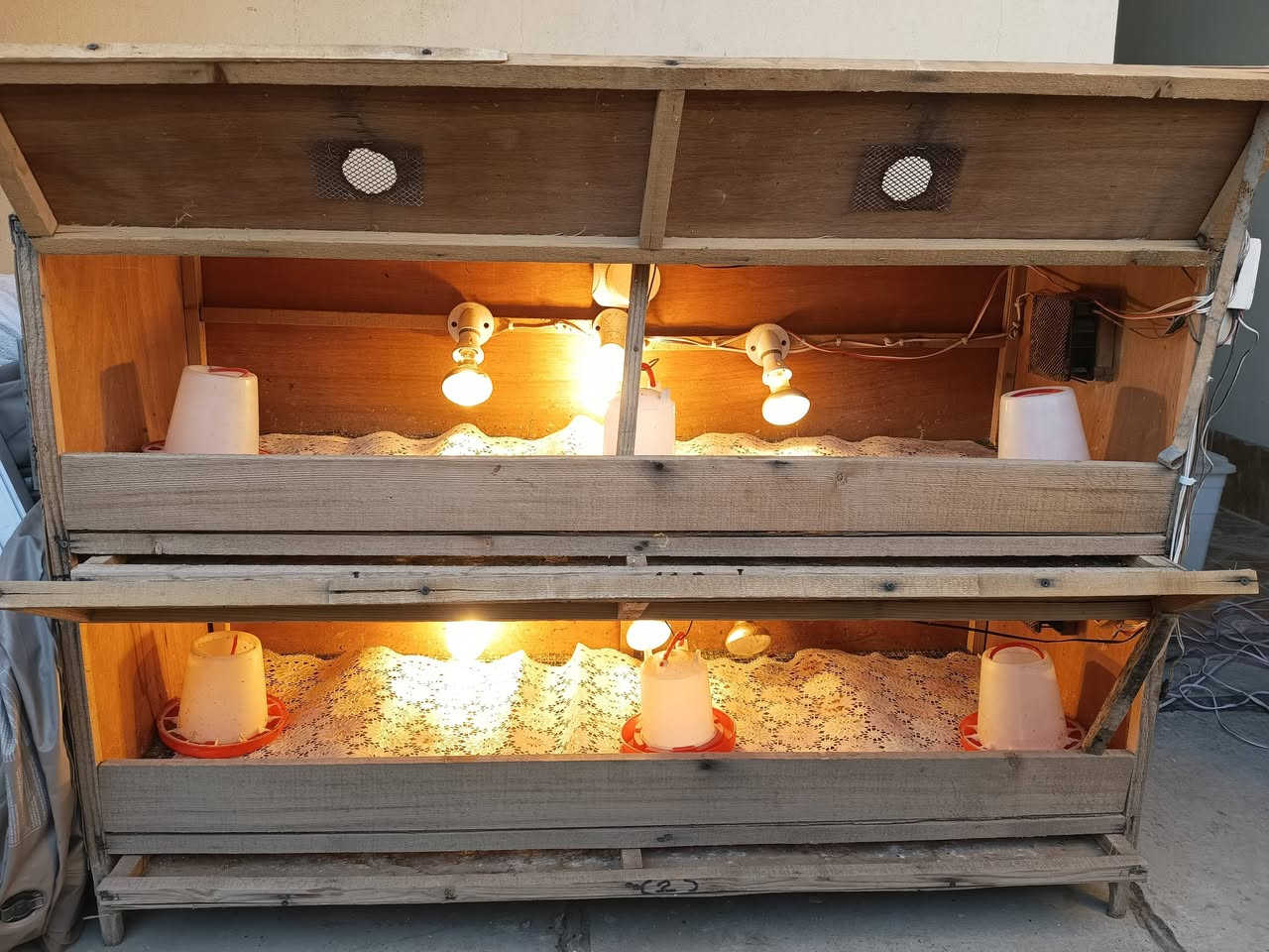 ***********
للبيع مفاقس عدد1+حاضنة  700 بيضة سعر 390الف فول اوتوماتيك مبخرة خارجية نضام دبل هيتر نضام جيموكة حاضنة 400فرخ مفرقات حساسات حرارة سعر 95 المفقس انتاج معمل (سيد حسين النحال كركوك) نسبة تفقيس 85٪شرط التفقيس والفحص المكان كركوك روناكي غير متاح في الخاص الاتصال علا الرقم فقط
