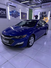 ماليبو ٢٠٢٣ • حادثها فقط بارد • رقم اربيل