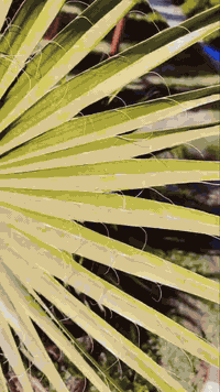 ✨ غسيل سجادكم صار أسهل وأنظف من أي وقت! ✨
#مكوى العزيزية
مع خدمتنا المتخصصة لغسيل السجاد الأوتوماتيكي، نعيد لسجاد بيتك النظافة الصحيحة، الألوان الزاهية، والرائحة المنعشة كأنه جديد. 🏠💙

🚿 نعتمد على أحدث طرق الغسيل والعناية، ونحرص أن يوصلك السجاد نظيف وخالي من أي بقع أو روائح.

✅ خدمة سريعة
✅ أسعار مناسبة 1000دينار للمتر المربع 
✅ عناية دقيقة بكل قطعة

🚚 استلام وتسليم سريع لحد باب بيتك مجانا

📞 احجز الآن وخلي سجاد بيتك يتكلم عن نظافتك ✨

[***********
‏‪***********
