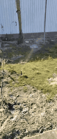 كادر لعمل منضومات تقطير وتجهيز الحدائق في كافت محافظات العراق ***********
