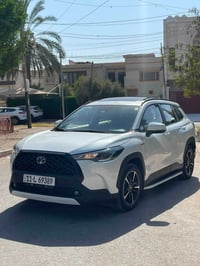 كورلا كروز • ٢٠٢٤ • حي الجامعه