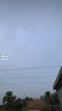 سايبا • ٢٠٠٩ • السماوه