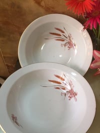 بلغاري • ٢٥٫٥سم • اورزدي