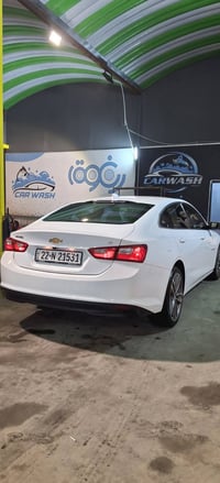 ماليبو • ٢٠٢٣ • بدون صبغ