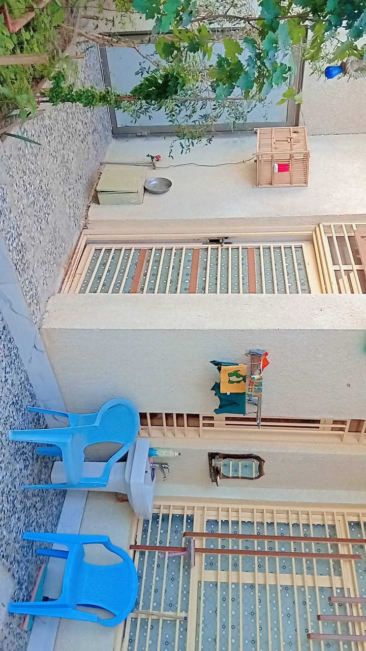 سلام عليكم دار للبيع ركن تجاري 250 متر على شارع 50 واجهت البيت 20 حي الصحفيين ركن  المدرسة الصينية محلات تجارية 2 غرف نوم 1صاله 1صتقبال مطبخ حمام 2 منور 2 وكراج وحديقه 2 للستفسار رقم الهاتف والتساب ***********
