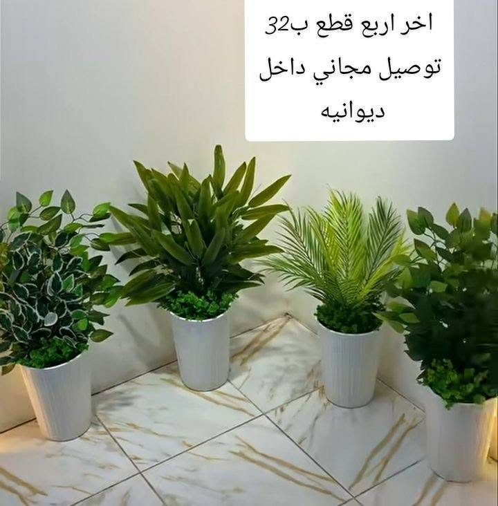 ورد صناعي كميات قليله باقيه السعر العدد 6قطع السعر 35 والتوصيل مجاني ومتوفر 4قطع السعر 32 للحجز والاستفسار التواصل عبر الرقم ***********
