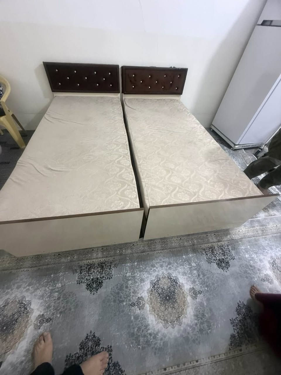 دوو ٢ سـیستەمی یــەک نـەفـەری دەسـکردی داری اسڵــی وەک لـۆکن دۆشەکی تــووبی ئەسڵییان لەگەڵ دایە
🛋️🛋️🛋️🛋️🛋️🛋️🛋️🛋️🛋️
شوێن/ســموود
ژ.پ.ڤایبەر/***********☎️📥
هەرئەشیایەکتان هەیە بۆمان بنێرن یان پەیوەندی بکەن
