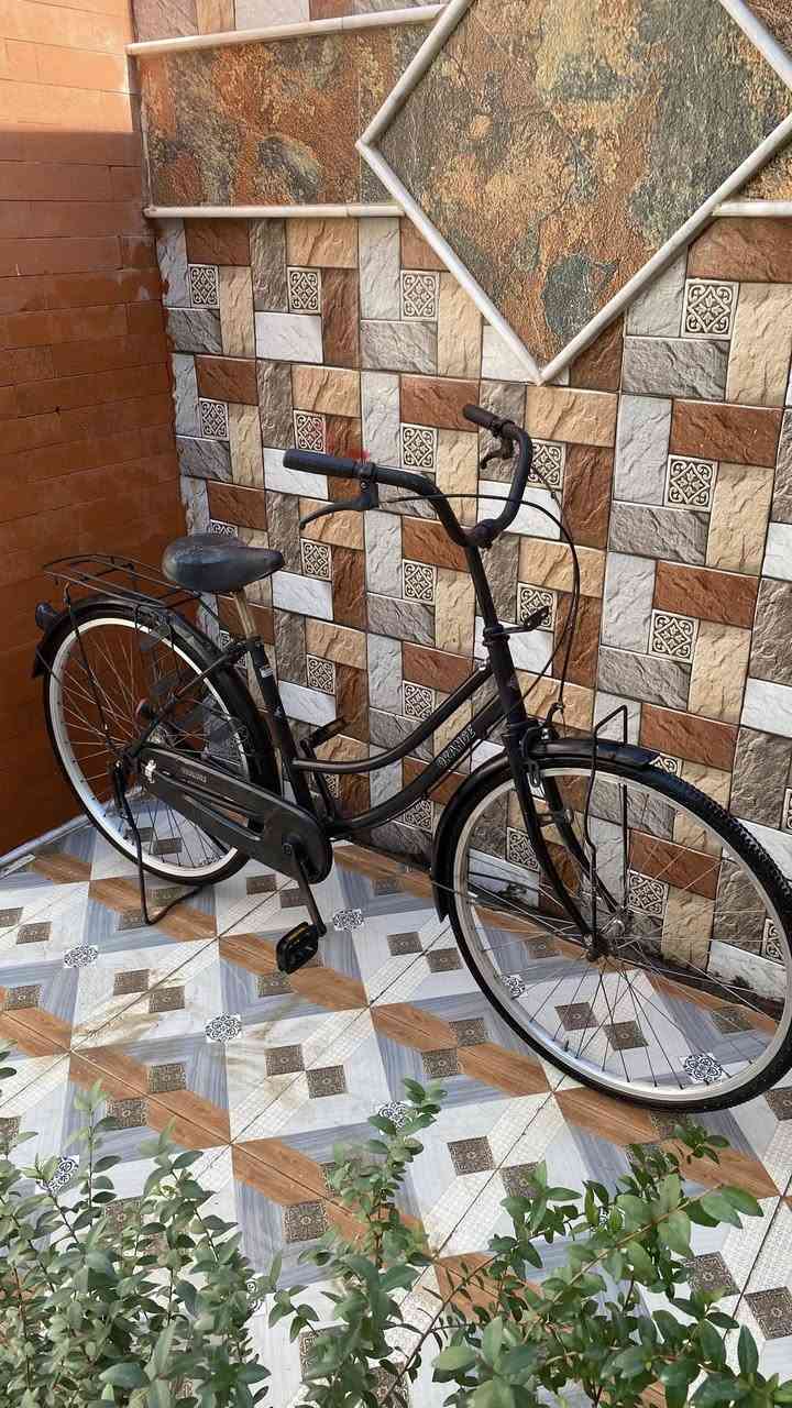 بايسكل للبيع
موديل 2016 نضيف وكلشي ما عايز 
الشراي يراسلني خاص
مكان الحمزة 
***********
