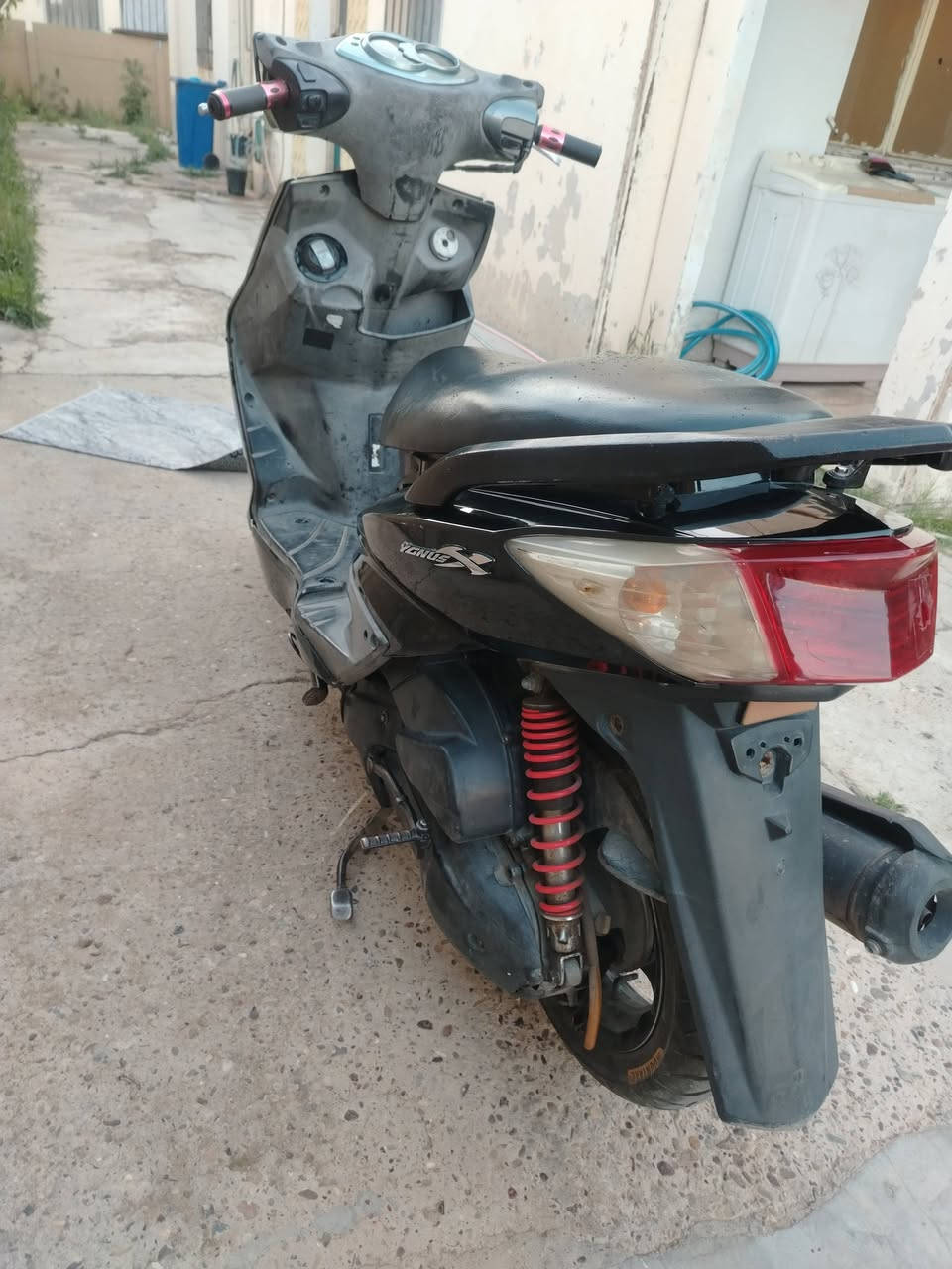 سكنس فحل ياباني نوزل خطين للبيع السعر ٧٥٠ ***********
