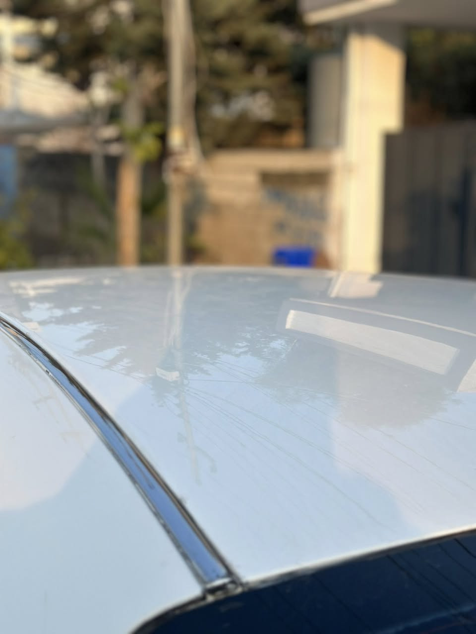 سەرەتا بە ناوی خوا
شاهینە
بڕاوە بڕاوە بڕاوە
١٨٢
بێ مەسروف
کامل جایز
٢٠٠٥
بێ دووکەڵ
سەیارەکە زۆر جوان و مەزبوتە
سەقف و گێڕ و مەکینە
بەشەرتی ١٠٠ وەستا
گزۆز سپۆڕت
نمونە
سعری ٤٧گەڵاو مەجال
شوێن ڕانیە
0750 171 5950
