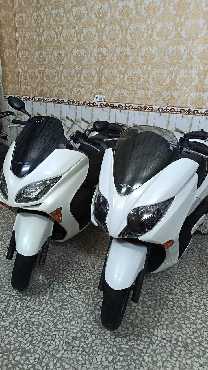 السلام عليكم فورزات وكاله كفاله
عامه مال مزاد  دهن بانزين اليابان

للاستفسار اتصل ***********
العنوان بغداد بلديات شارع المصرف
يوجد لدينا توصيل كافت المحافظات
