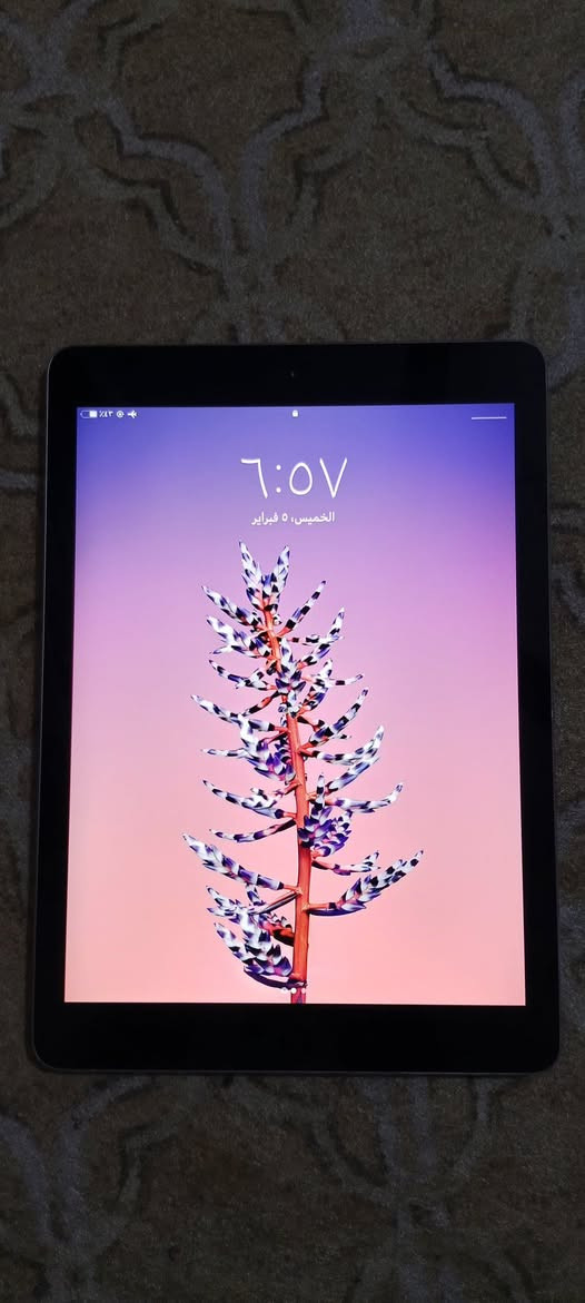 السلام عليكم ايباد للبيع نضيف كلش مكفول من كلشي ذاكره 32
السعر 120


**إذا كنت صاحب هذا الإعلان وتريد حذفه لأي سبب، رجاءا أرسل رسالة إلى الدعم الفني**