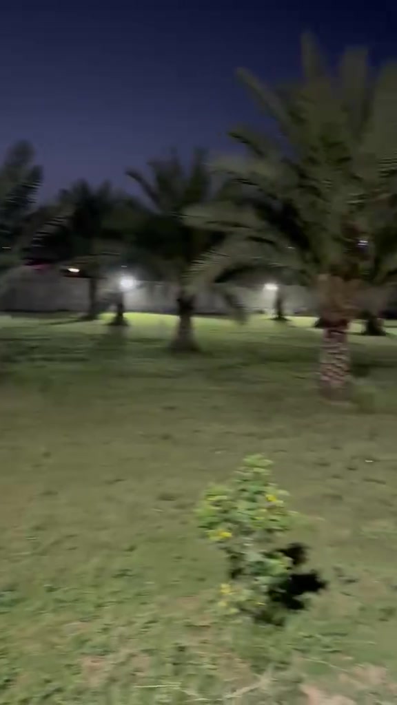 يا الله 6دونم لبيع  في اليوسفية منطقة الرضوانيه شارع 2لمزرعه مسيجه بل كامل  اي ستفسار اكثر مراجعة مكتب الرضوانيه والتصال ع ***********
