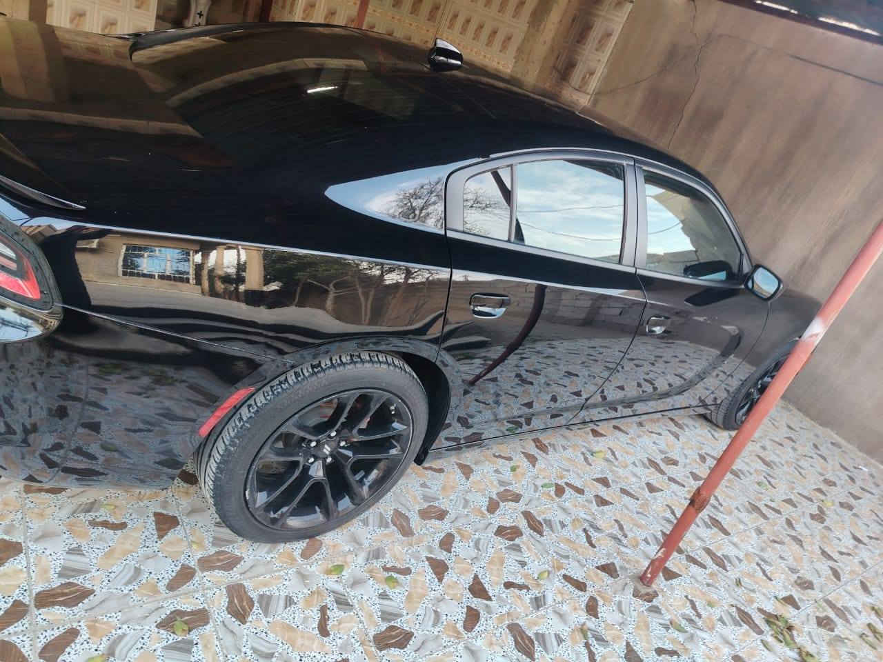 تم تنزيل السعر الشراي يتصل ويدلل وبل عافيه عل ياخذه
السلام عليكم ورحمة الله وبركاتة البيع او مراوس حسب القناعه

جارجر موديل 2023 اصل وارد أمريكي كلين عدا بارد بل جاملغ الخلفي فقط وباب الصندوك مبدل  كوالفحص الك سياره بدون ايرباك كله سليمه محرك كير حوض  كفاله عل وضع الشركه ماملعوب بيه ابد سوناره مرفق بل منشور سياره حته كشره صافيه مثل ماموضح بل صور
 
سياره مواصفات SXT
فول مواصفات عدا الفتحه 
بصمه تشغيل + تشغيل عن بعد
لايت زنون 
محرك 6
كشنات كهربائي
كشنات جلد +مخمل
تحكم استيرن
وبعد اهوايه مواصفات
سياره ماشيه 47m بعده عل وضع الشركه

ملاحظه/ سياره موديل 23 اصل ومواصفات SXT اصل

رقم اربيل مدوار ثاني يوم

السعر اتصل عل رقم وبيك خير وتدلل وبل عافيه عل ياخذه ***********
مكان سياره الأنبار الفلوجه
