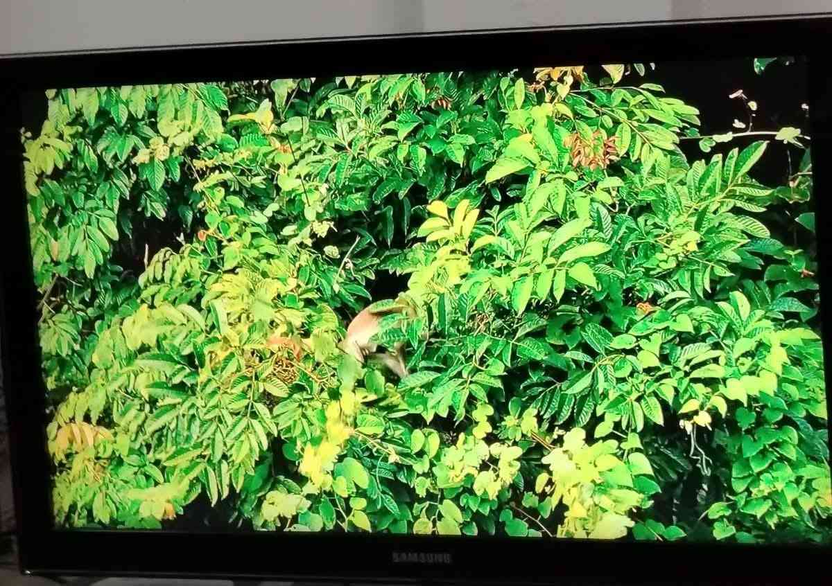 شاشة سامسونك حجم 40  سعرة 350


**إذا كنت صاحب هذا الإعلان وتريد حذفه لأي سبب، رجاءا أرسل رسالة إلى الدعم الفني**