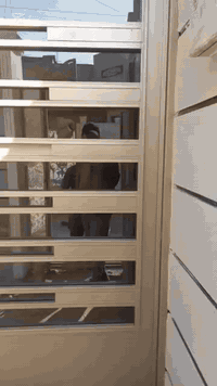 كادر عمل • تنظيف وصبغ شبابيك • شد جام