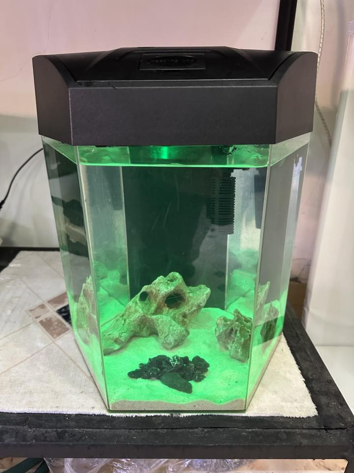 حەوزی شەریكەی ئاركلیك بە شێوەی شەش پاڵوو
فلتەری شەلالی لەگەڵە 
ئۆكسجینیش دابین دەكات
لیدی شەریكەی خۆی لەگەڵە بە شێوەی لەمس  زیاد لە ٧ ڕەنگی تیایە
وە مۆدی گۆڕینی ئۆتۆماتیكی تێدایە ڕەنگەكانی
٢ بەردی كونداری زۆر ڕاقی و تایبەتی لەگەلە
شوێن خواردنی بۆ كراوە بۆ ماسیەكان
بنی لمێكی سپی جوانی لەگەلە
 پشتی باگراوندی ڕەشی لێدراوە
قیاسی بەرزی ٤٠ سم وە تیرە بۆ تیرە ٣٢ سم
تێبینی : حەوزەكە ئەورووپی بەكارهاتووە
_______
ئەوەی ویستی نامە بنێرێت لە واتس ئەپ یا ڤایبەر 
***********
گەیاندنمان تەنھا بۆ ناو سلێمانی ھەیە
