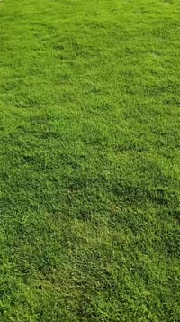 ثيل طبيعي • ديالى • توصيل لكل العراق