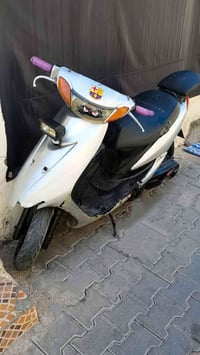 عصفوري • ياباني • نضيفة