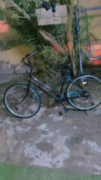 سلام عليكم بايسكل حجم26نضيف90٪موديل 2018 بس مبدل ويلات السعر50وبي مجال المكان كربلاء حي العسكري الحر رقم الستفسار ***********
