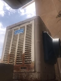 مبرده • شغاله • نضيفه