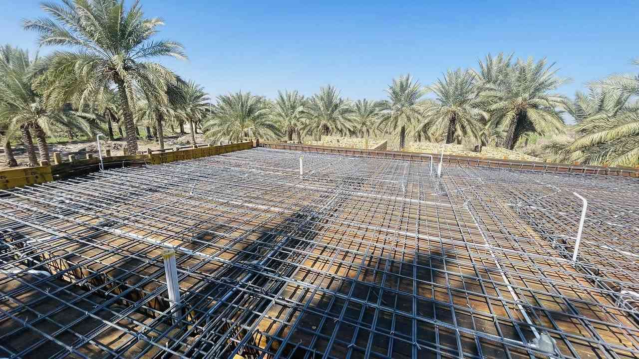 ‏عملنا في محافظة النجف الاشرف منطقة النعجة النجار أبو مقتدى الجدعي الحداد فالح الشمري
‏عملنا في محافظة النجف الاشرف منطقة النعجة النجار أبو مقتدى الجدعي الحداد فالح الشمري￼***********
