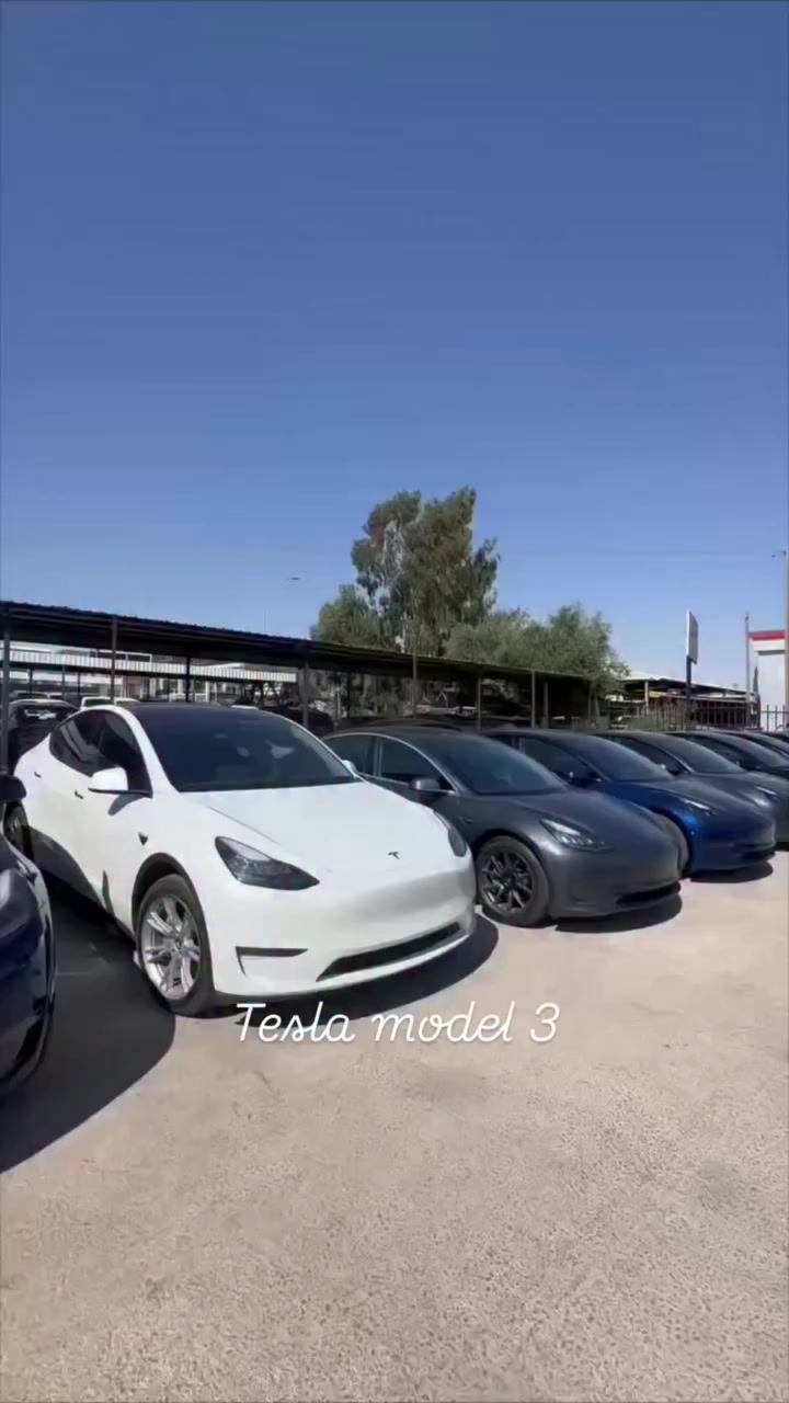 تشكيله جديده من السيارات التسلا الكهربائيه بالكامل جميع الموديلات والالوان ستاندر بلس/دبل موتور/ بيرفورمنس تواصل 0799962414 #تيسلا  #performance  #تسلا_مدل۳ #tesla #لونج_رينج  0788839196 ابو مراد


**إذا كنت صاحب هذا الإعلان وتريد حذفه لأي سبب، رجاءا أرسل رسالة إلى الدعم الفني**