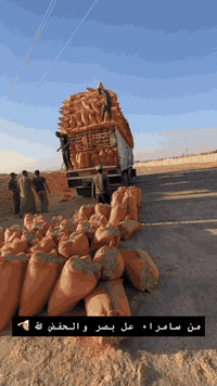 تبن • شليف 60ترس • توصيل كل العراق