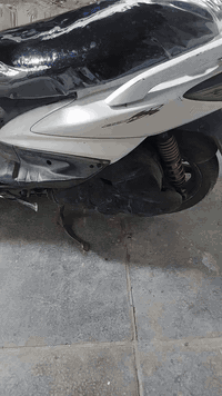 سلام عليك دراجه سكنس فحل نوزل خطين مثل ما موضح بالفديو المكان الدورة ابودشير رقم*********** واتساب شغال اتصل وبيك خير وتدلل
