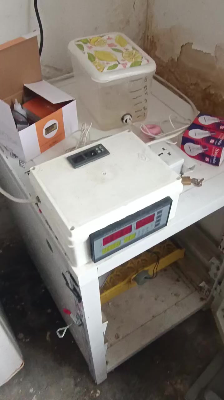 متاح فقاسه فول اوتماتيك تلزم 112 بيضه وتكدر اتضيفلهة رف تصير 170 سعر 140 وبيهة مجال للتوصل رقم *********** ادمن وافق
