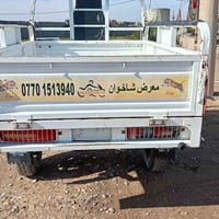 وبركاتة  للبيع ستوته شاخوان فحل عالي عقد اصفر وبليته موجودات موديل 22 ...