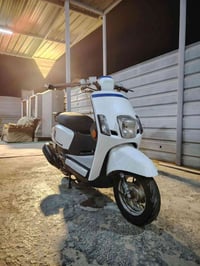 بوليسي • مسطره • كفاله