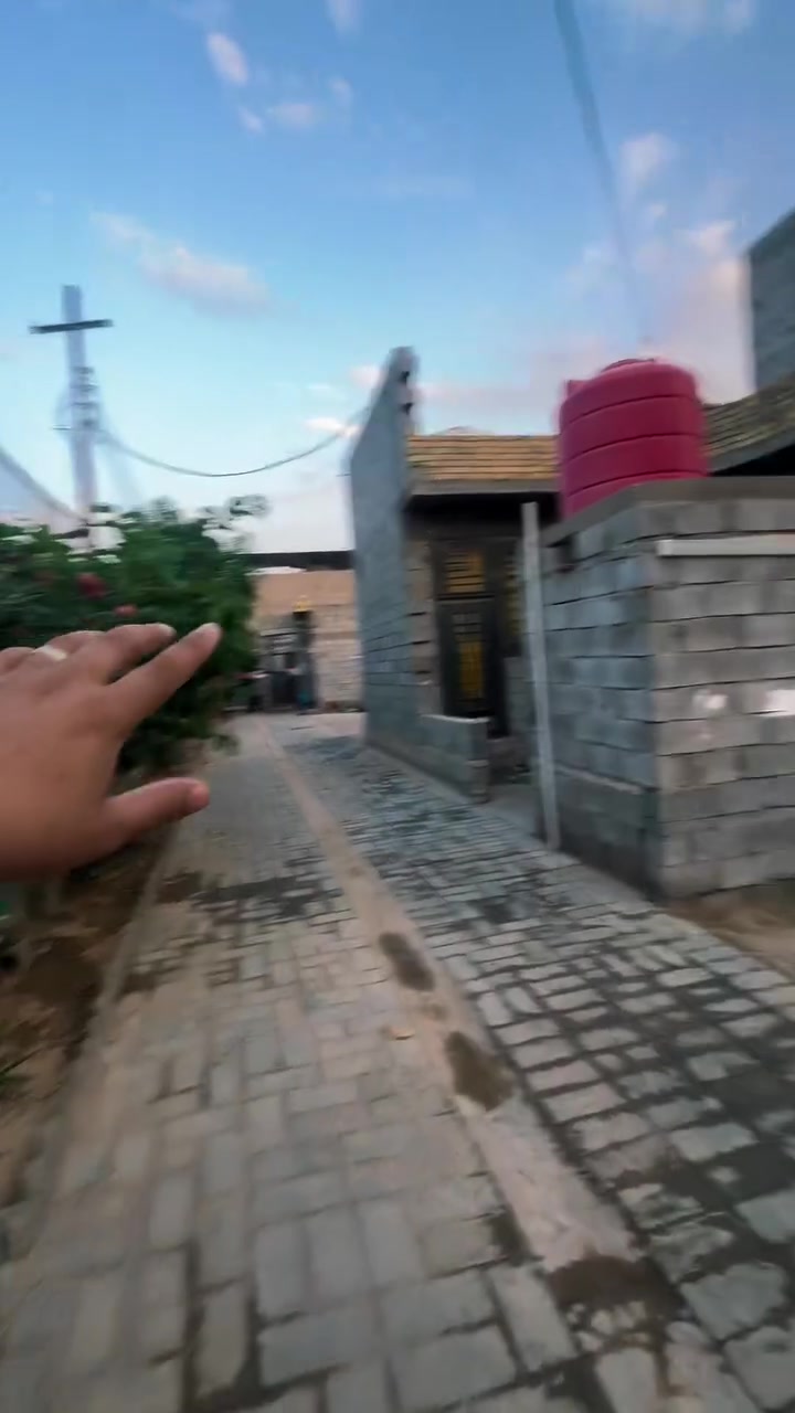 ***********
