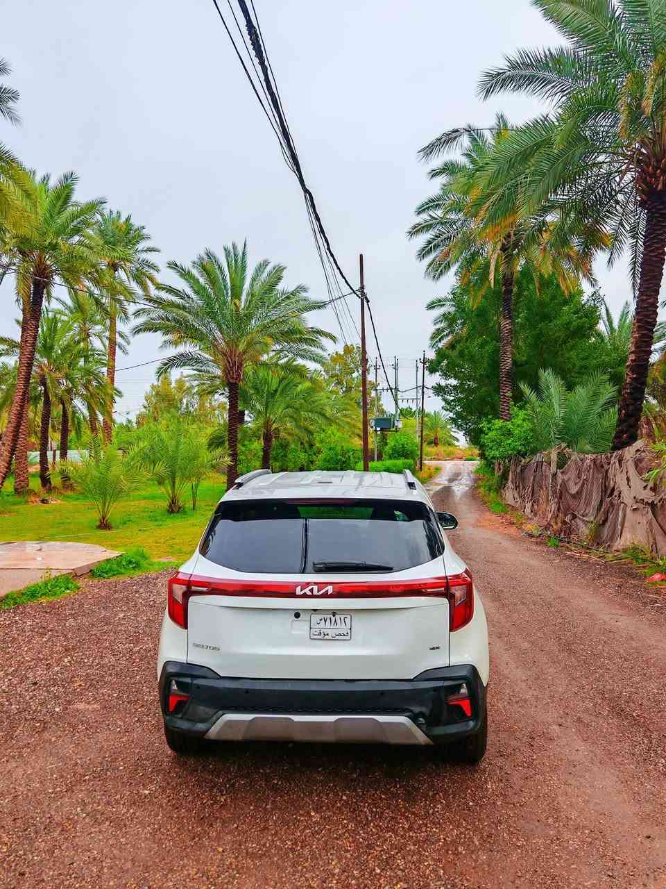 سيلتوس 2025 دخول جديد بدون رقم فحص مؤقت ماشيه 8 الف مكفوله من الصبغ ضررها طخه بسيطه ب قبق الصندوك صور الحادث بمنشور بدون ايرباك
محرك 2000 دوش رادار أمامي خلفي جانبي كشنات تدفئة أنظمة قيادة متعددة أوتو ستوب توقف ذاتي شاشة ديجتل متصل
سعر 165 وبيه مجال بسيط وهذا رقمي
***********
مكانه / بغداد أو الحلة
