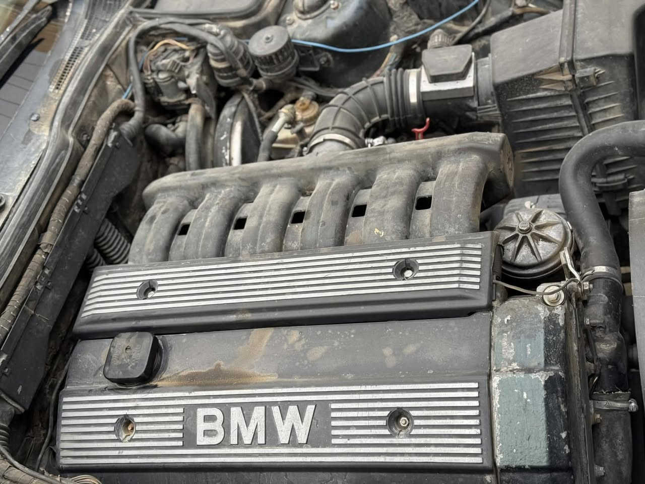 بي ام 525 اصل مسكر فانوص مديل 1991 مواصفات سلايت طكتين مري منفصل مكينة كير خير من الله تبريد ثلج كهربائيات كلة شغالة حدادية تخم تايرات جدد رقم سليمانية دولي هزه جديده سنوية لغاية 2030 تحويل أو وكالة السياره احلئ من الصور السعر 48 بيها مجال بسيط مكان السياره بابل مركز المدينة ***********
