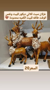 ديكورات البيت • تصميم داخلي • تركيب ديكور