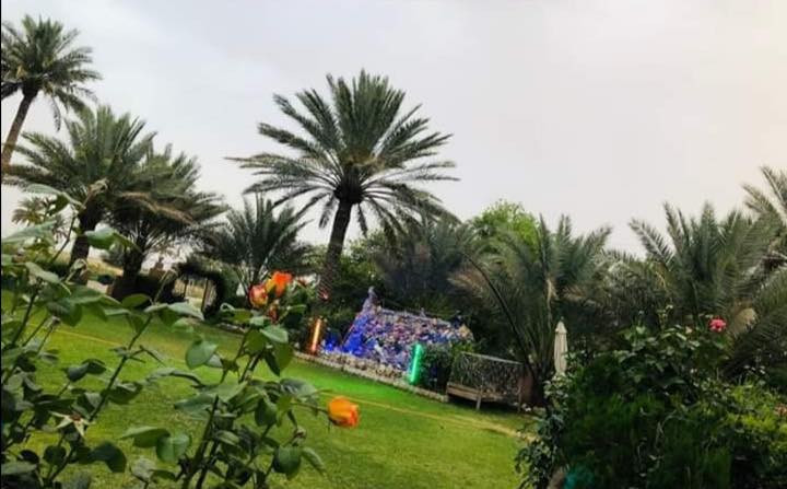 مستعدون لترتيب الحدايق  👨‍🌾🪴وتقليمها وزراعه الاشجار داخل خانقين *********** وبأحدث الاات الزراعيه
