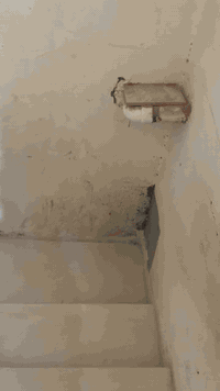 من رخصة الادمن مع التحية 
ومن رخصة جيرانه الافاضل 
السلام عليكم جميعا 
بيت سكن بيع  للحاجه ..
بيت طابقين 
 الطابق الأول 
2غرفة -مطبخ صالة-حمام -مرافق -كراج 
بناء بلوك سقف كونكريت  سنة 2019
مطبخ كامل مع اثاثة
 الطابق الثاني ؛
3غرف -حمام -مرافق 
بناء بلوك +ثرمستون  
سقف عكادة سنة 2020
مع سبّلت عدد 2فقط
المساحة 200م2
زراعي 
السعر (65 مليون)قابل للتفاوض 
تدفع مقدم (35 مليون دينار )
والباقي (30مليون دينار) الشهر 500الف 
بضمان ..
بيت كبير  واسع نظيف بس يحتاج شوي ترميمات 
ويرهم بيتين بدرج خارجي 
الماء والكهرباء مدفوعة 
مقطورات اثنين 2طن  
مع ماطور ماء درجة أولى 
العنوان 
البصرة  ..قضاء المدينة
(منطقة السودان )
شارع الامام الحسن المجتبى ع
الاتصال على الرقم 
***********
….
واتساب و اتصال 
وتدلل 
الرجاء..الرجاء بس الشراي صدك يتصل 
ويدلل .
واعتذر للاطاله وسلامتكم
