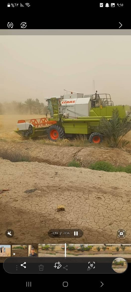 للبيع حاصوده سعر ٧٠ ورقه ***********
