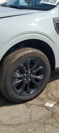 تخم ويل للبيع 07715331250