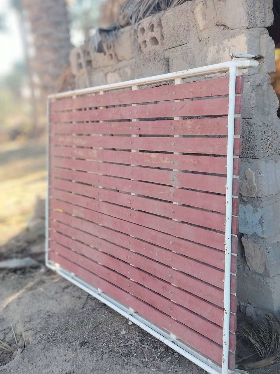 سلام عليكم سيبايه بصراويه البيع مكاني بابل قضاء المحاويل تواصل ***********
