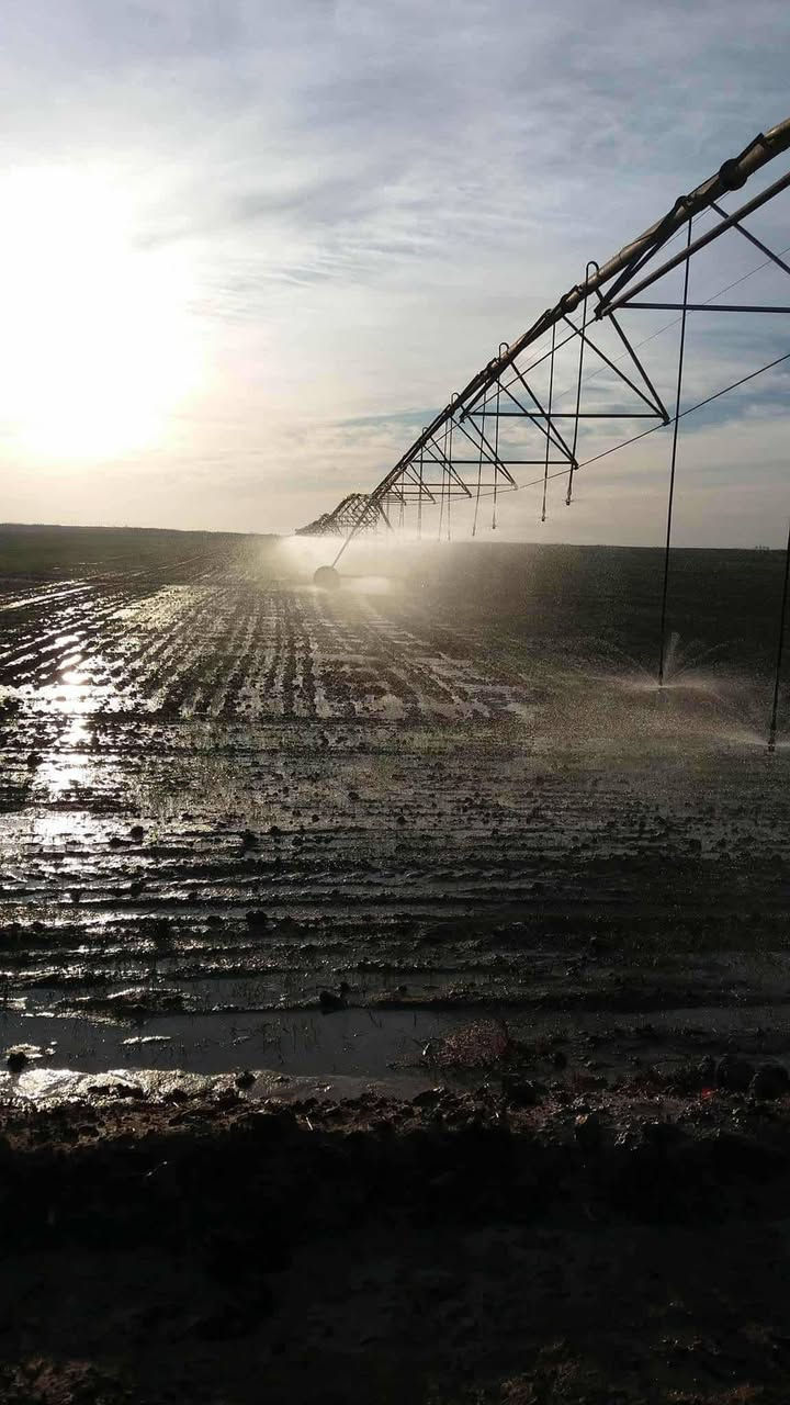 أرض زراعية للبيع 190دونم مع المرشة محورية  الموقع واسط قضاء الاحرار الأسفار رقم ***********
