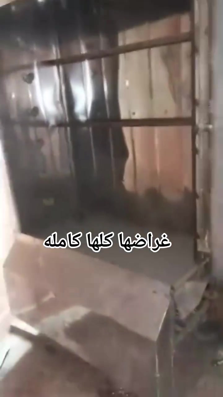مشويه دجاج مستخدمه شهر
كلش نظيفه بيها سته اشياش وجام ماله موجود غراضها كل  كامله سعر 300وبيها مجال مكاني ابو غريب
حصوا  رقمي بي وتساب ***********
