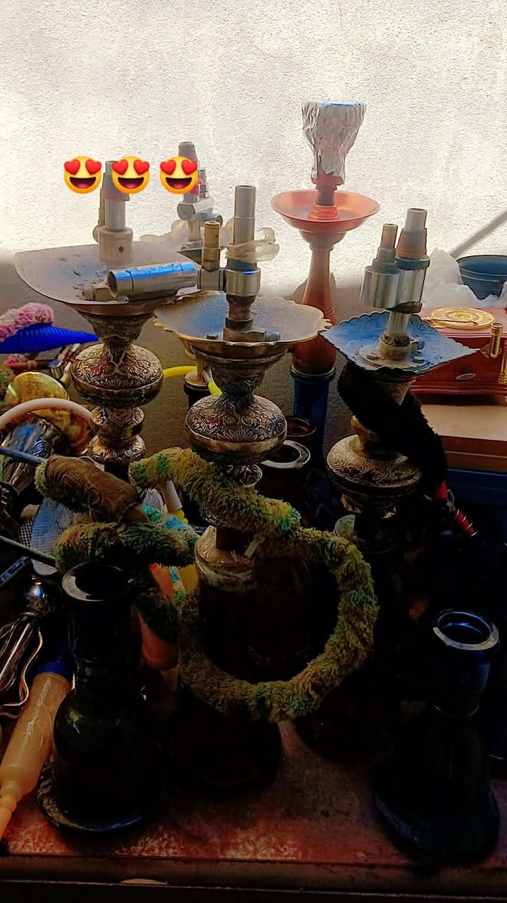 تخم قنفات الزوج ب30 الف 
نراكيل طه التك ب 35 
شباب ابيع شلع ومفرد كل شي وحسب الأنتفاق
***********
