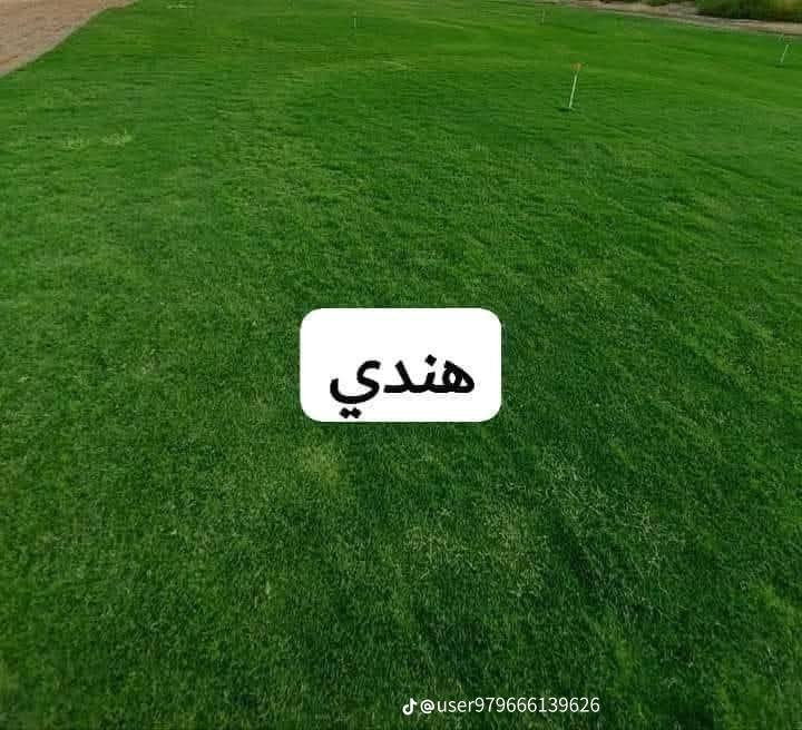 ثيل ديالى الطبيعي وخضار ولا اروع 💚
نتوفر كافة انواع الثيل الطبيعي 
مستعدون لتجهيز كافة الدوائر الحكومية والمتنزهات والحدائق العامة والمنازل .
نوعية ممتازة ودرجه اولى ⁦1️⃣⁩
ودائم الخضره 

ثيل #هندي  #امريكي   #ايطالي الخ ...

اسعارنا الانسب وتوصيلنا الاسرع  لكافة محافظات العراق
لمعرفة المزيد راسل الصفحه اوالاتصال على الارقام  ***********/***********
