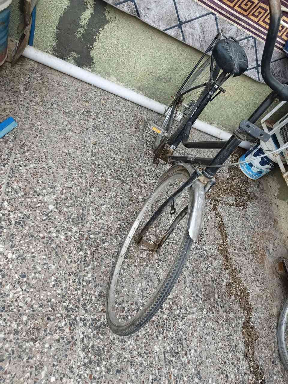 بايسكل حجم ٢٧ للبيع السعر، ٢٥ ألف
للاتصال  *********** يوجد واتساب
