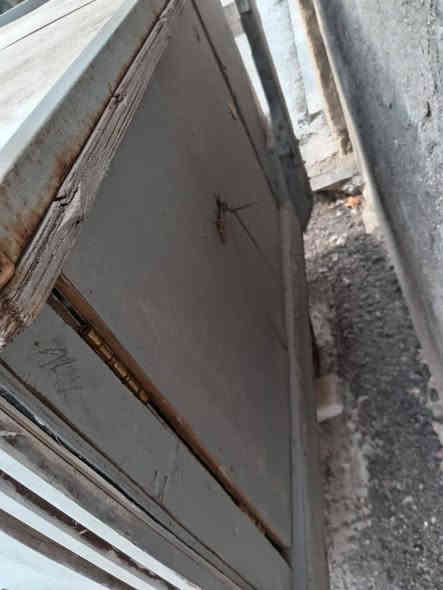 السلام عليكم  عربنه  صالحه ال البلبي البيع ب 100وبيه مجال استفسار ***********
