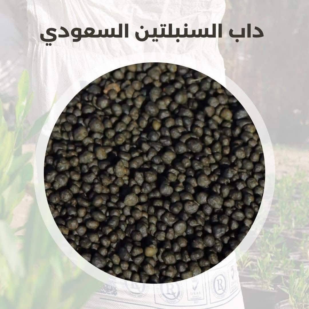 يوجد لدينا سنبلتين الأصلي اب سعار مناسبه كلش يوجد لدينا توصيل جميع محافظات العراق
***********امير حصيني
*********** حسين حصيني
*********** حيدر شمال
*********** علي حسين حصيني
